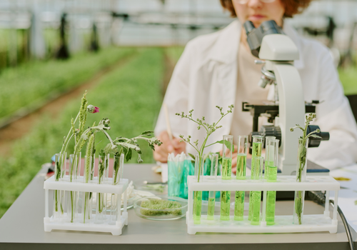 Yüzbaşı Tarım Ar-Ge Laboratuvarı